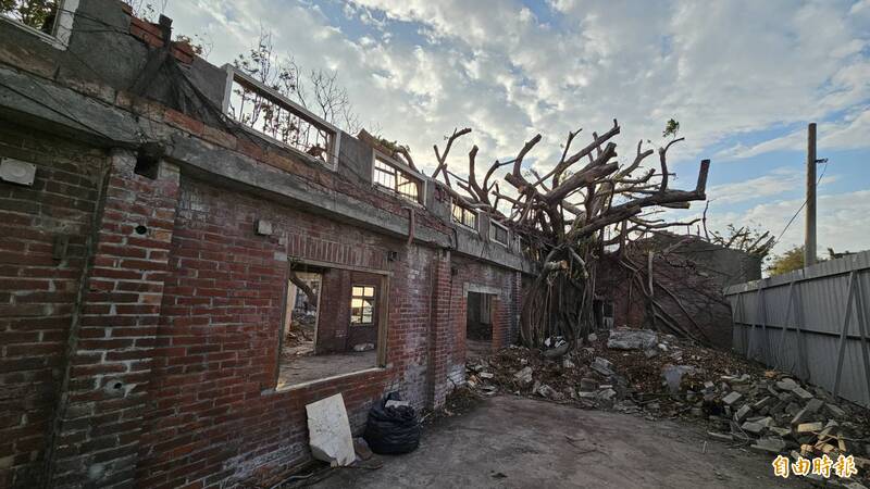 獨家》鹿港也有樹屋?原來是沉睡40年的鹿港實驗工廠 掀開神秘面紗