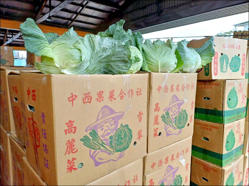 桃市年貨大街雙主場 好禮三重送