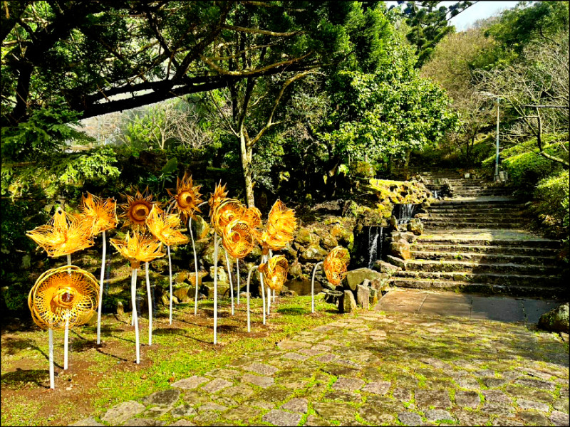 《台北過好年—賞花篇》新春百花開 內湖賞夜櫻 陽明山踏青