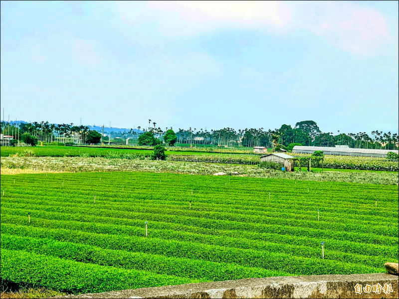 南投縣府:爭取中央同意 名間鄉長:違反程序正義