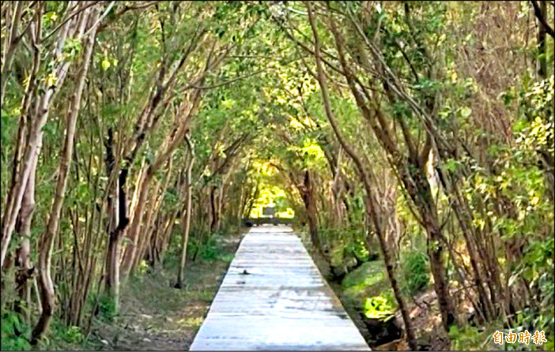 竹縣頭前溪右岸自行車道9日啟用邀騎游