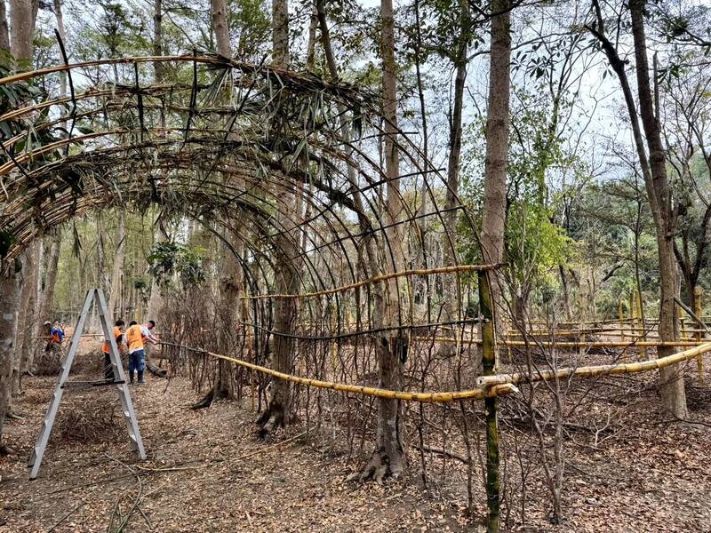 去年塞爆!台南仁德續辦「點亮成功」慶元宵 虎山實小林地佈展中