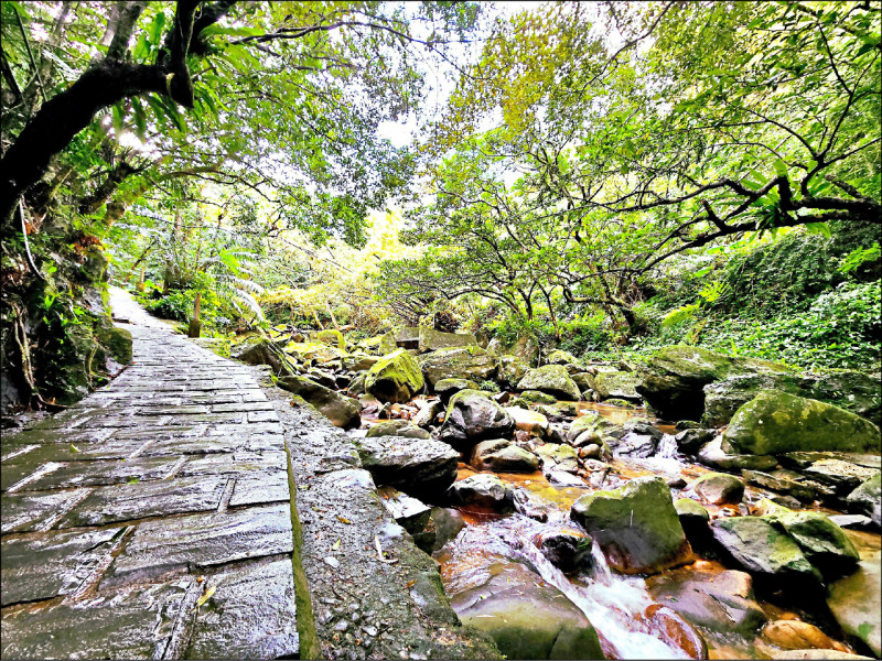 圓覺寺步道與大溝溪溪水平行。
（台北市大地處提供）