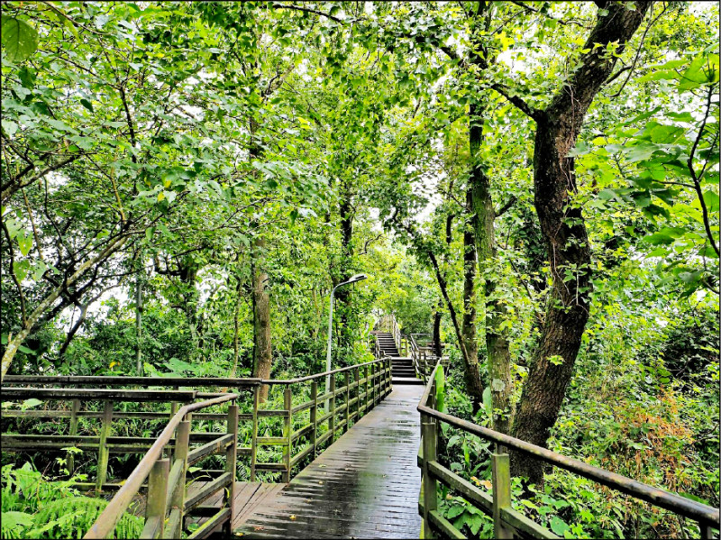 仙跡岩就在市區，距離景美夜市也很近。（台北市大地處提供）