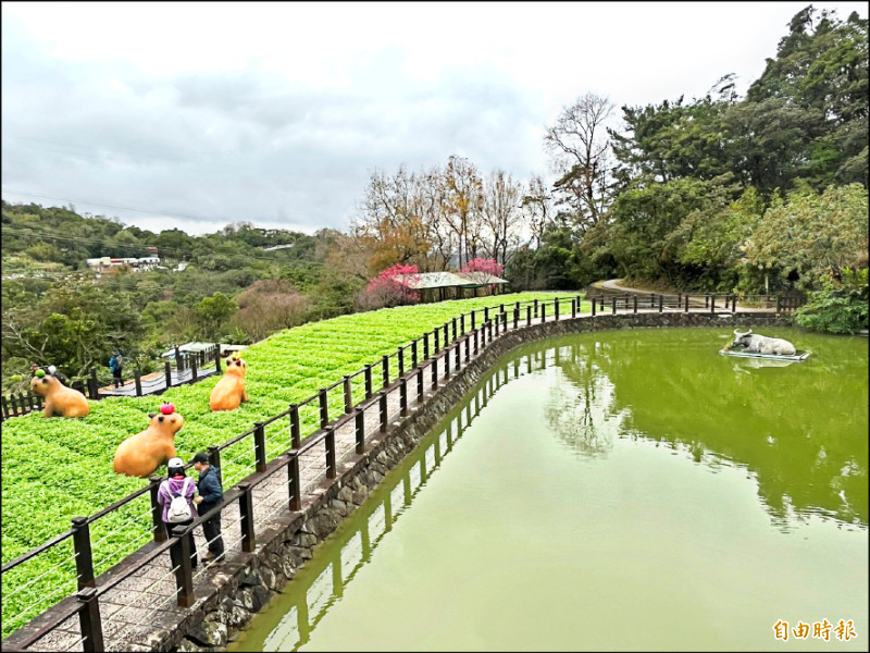 樟樹步道坡度平緩，沿途以營造古樸的農村風情為主題。（記者何玉華攝）