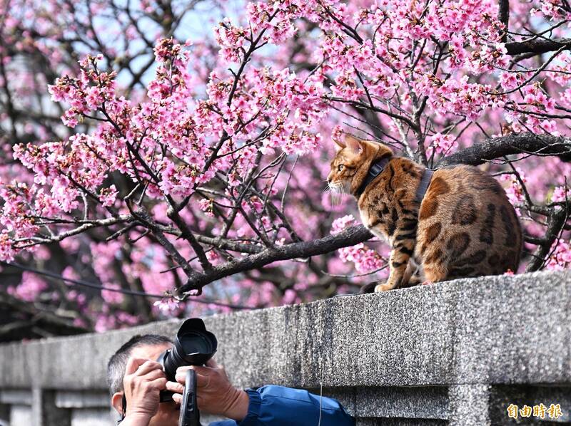 過年穿衣看這！除夕北台灣降溫轉涼 初一初二冷空氣最明顯