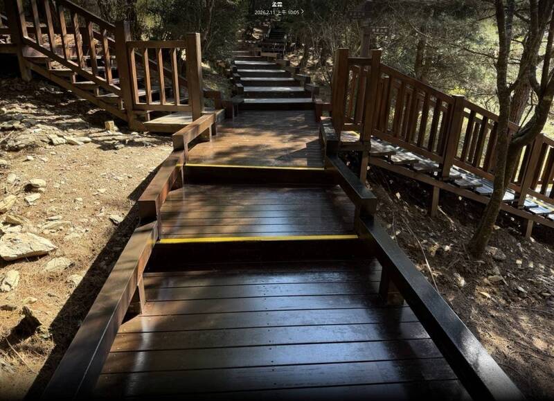 海拔2000公尺山林秘境回歸!雪霸雲霧步道封閉整修逾半年正式開放