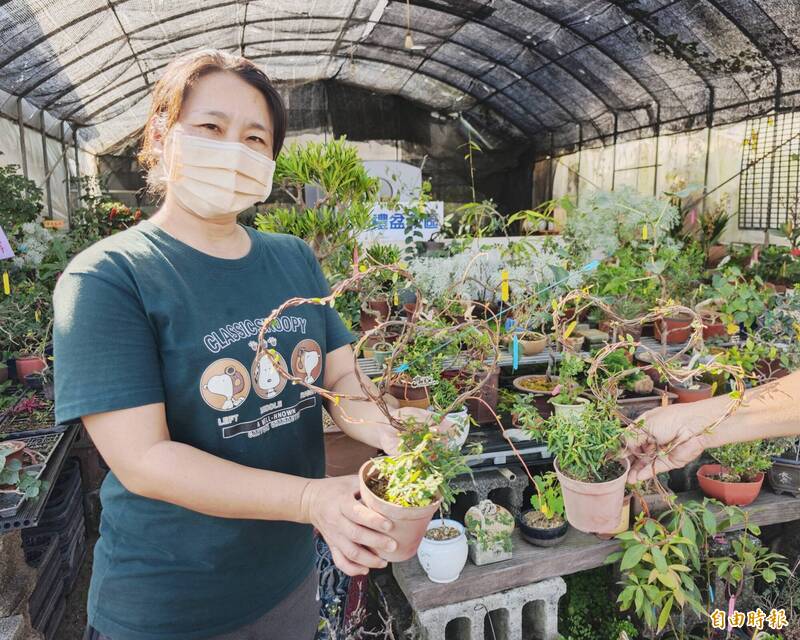 西洋情人節 應景的年節盆栽也搞浪漫