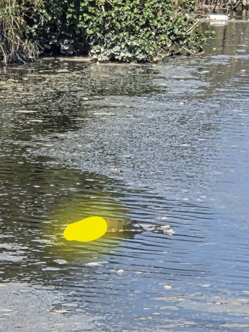 除夕團圓前夕!彰化婦人失蹤 竟成東螺溪浮屍