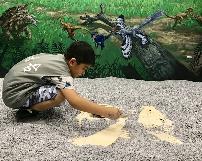 親子冒險體驗全面升級 台南樹谷園區新春不打烊