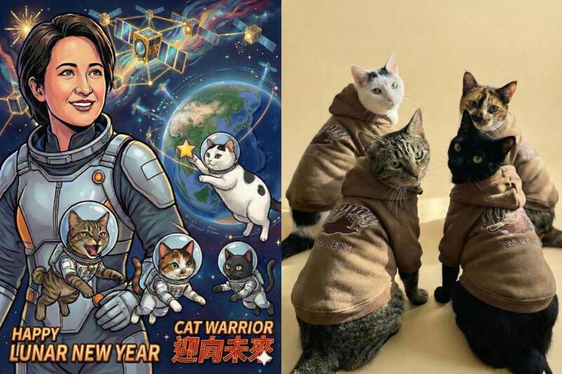 蕭美琴曬超萌「愛貓AI換裝照」 網笑讚:美少女戰士!