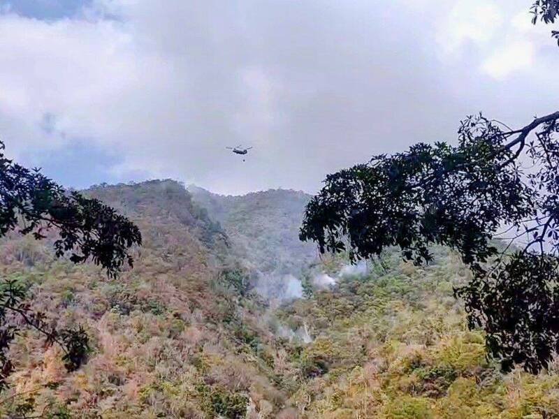 小年夜竄火煙!埔里森林大火燒5天 29公頃付之一炬