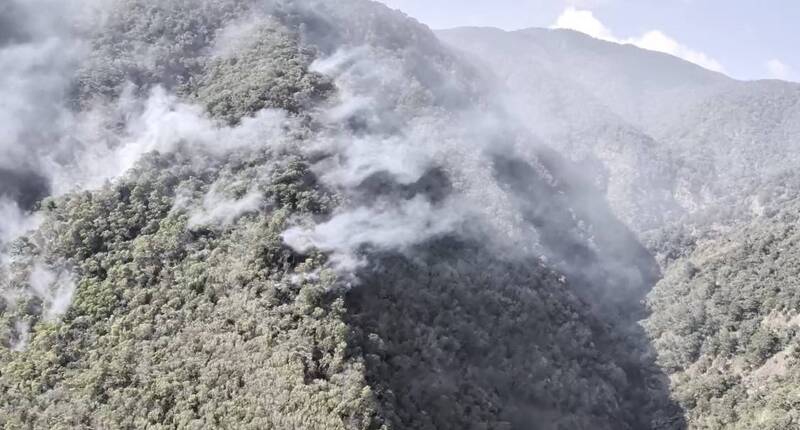 小年夜竄火煙！埔里森林大火燒5天 逾29公頃林地付之一炬