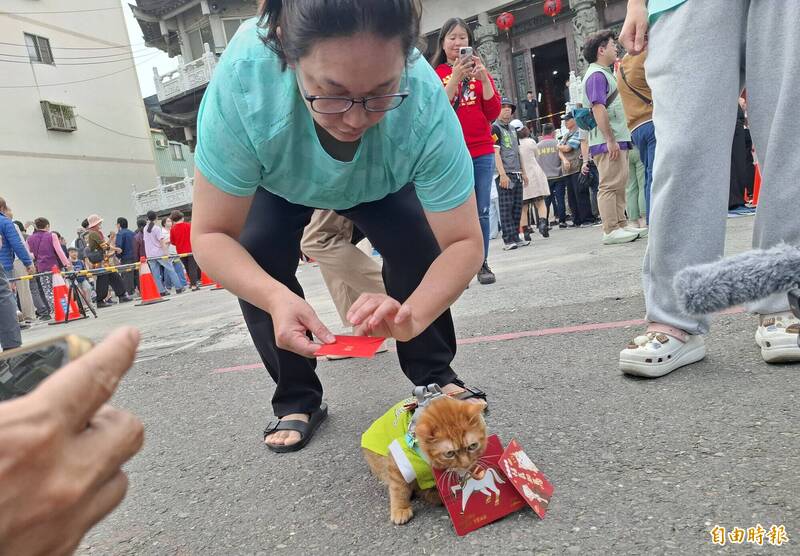 副總統蕭美琴到屏東市發紅包 連貓也有份