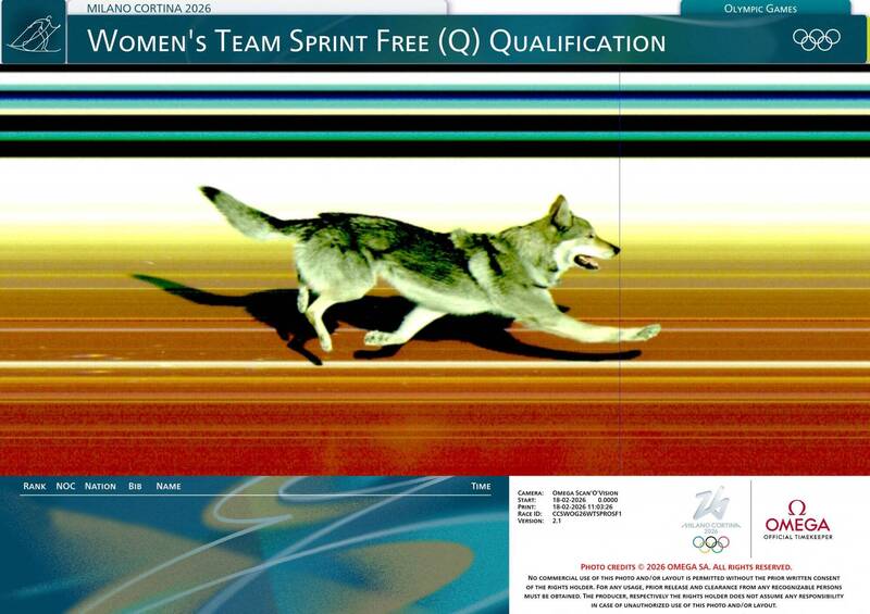 大会公布了参赛犬的压线画面。（路透）