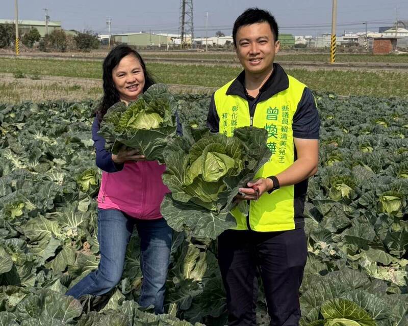 春節加菜 彰縣議員賴清美籌高麗菜、玉米各300個助弱勢