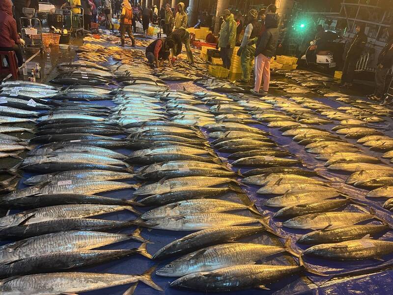 南方四島「黑白金」傳說 自然版「黑白大廚」上菜