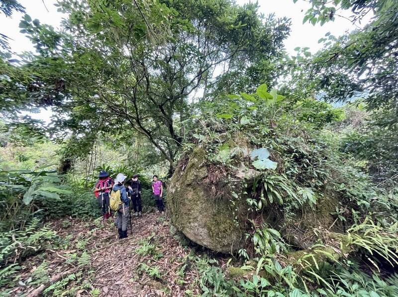 俯瞰太平洋絕景!太魯閣大同部落「千里眼山」步道 震後修復開放