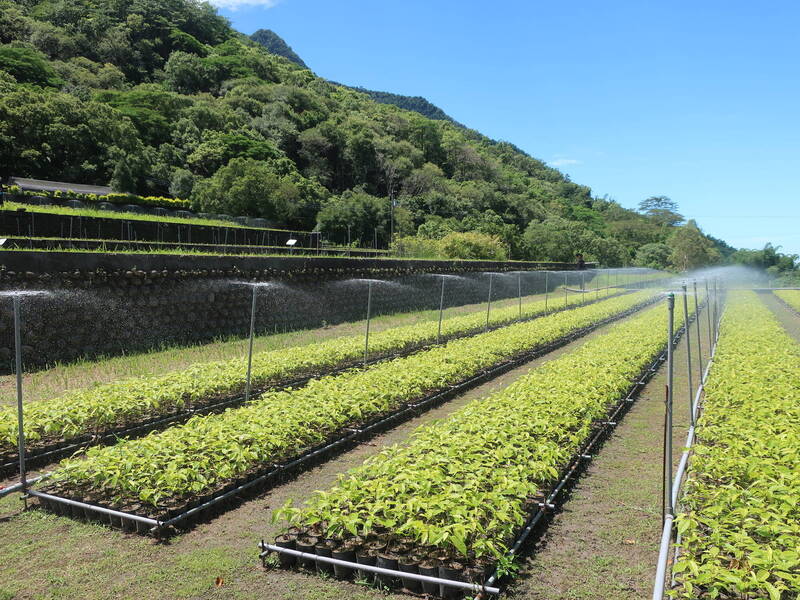 六龜林業循環場域2/26開張 見證國產材循環經濟新里程碑