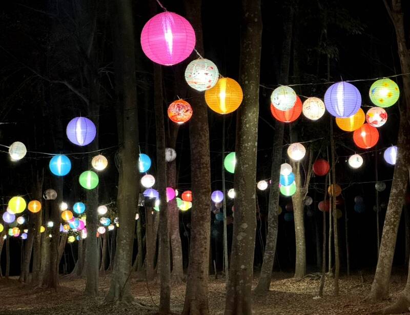 1500盞齊發!台南仁德「點亮成功」森林燈會 228連假登場