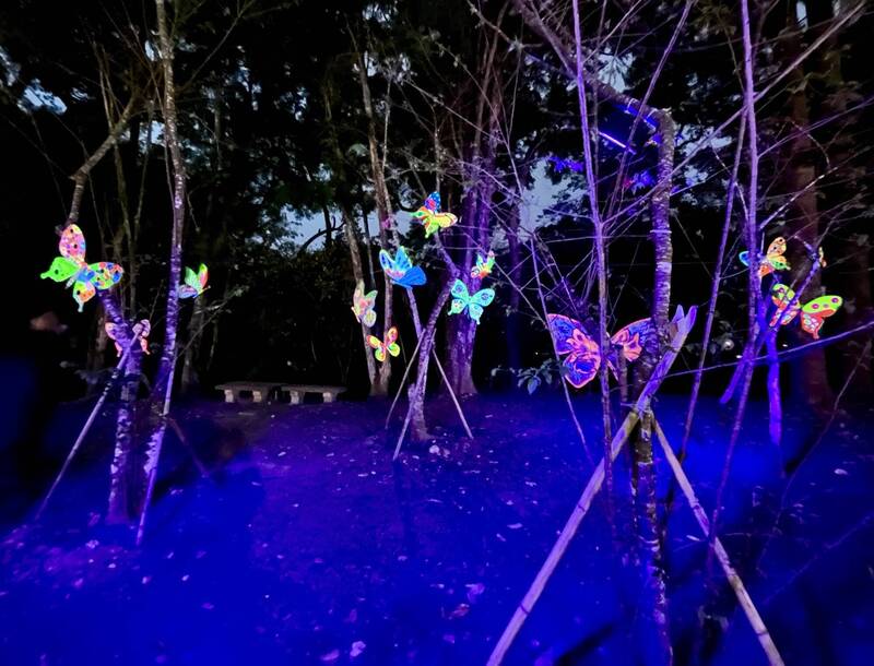 重回點亮台灣中心 埔里森林逐燈祭明點燈開幕