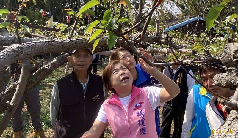 玉皇大帝指示3月底民調翻轉? 楊瓊瓔:國民黨團結勝選台中