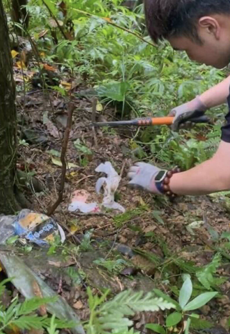 鋌而走險賺快錢!幫領大麻「埋包」拿1萬9 越南移工重判3年