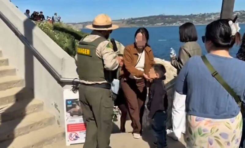 又是中國遊客!2屁孩猛丟海獅碎石 加州巡邏員忍無可忍逐出沙灘
