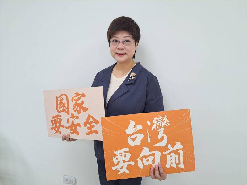 除被點名選新竹市長 支持者也點名林志潔選這職務…