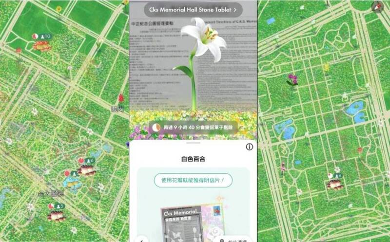 不只是玩遊戲 皮克敏玩家讓228公園「開滿百合花」