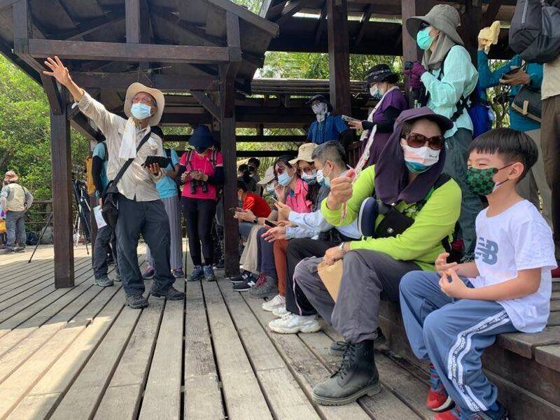 高雄半屏山賞鷹季7日展開 灰面鵟鷹和赤腹鷹大軍陸續報到