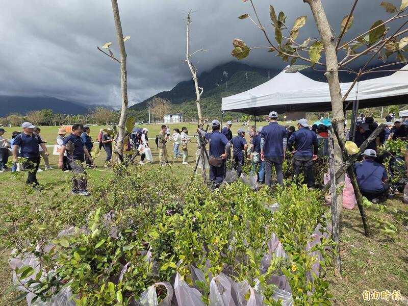 花蓮植樹節贈苗活動明天將在豐濱鄉舉辦第一場次，圖為2025年活動。（資料照）