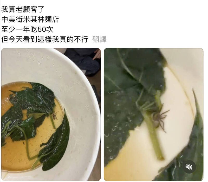 台中米其林必比登麵店爆燙青菜驚見死蜘蛛 老饕崩潰：一年吃50次