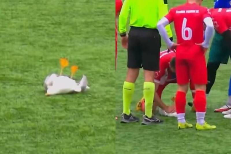 土耳其足球隊長「為海鷗CPR」爆紅 無緣冠軍仍暖喊:生命更重要 !