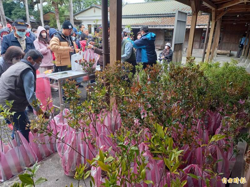 林保署宜蘭分署啟動植樹月贈苗 捐3張發票換1株