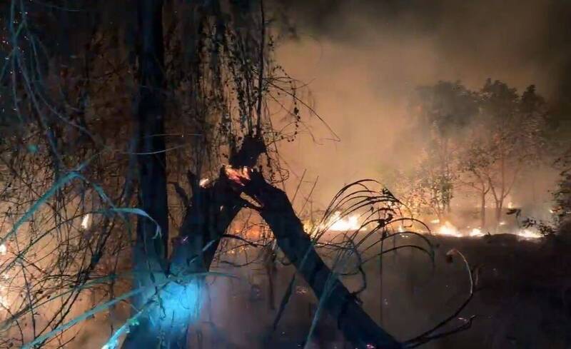 金門山后村鎮海宫草地火警 5小時燒毀1.5個足球場面積