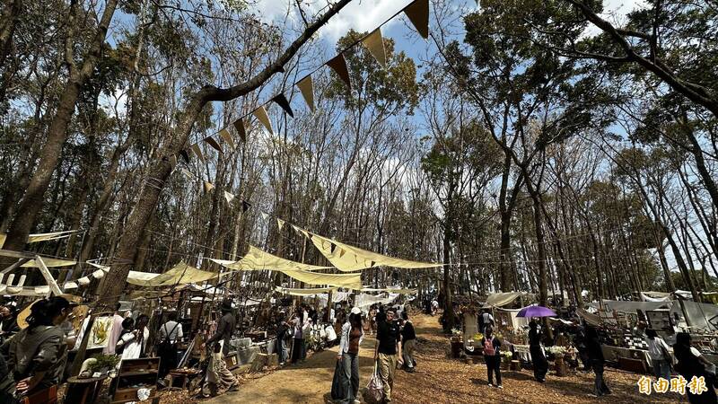 桃花心木林下灰熊綠展落幕 明年另覓場地舉辦