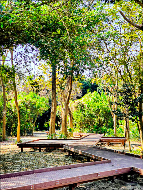 屏東萬丹森林公園 漫步芬多精步道