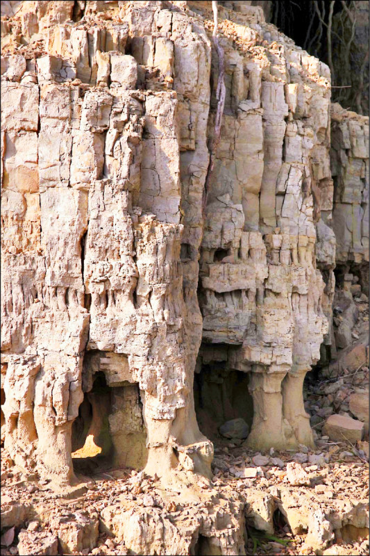 水情拉警報 永和山水庫再現「希臘神殿」