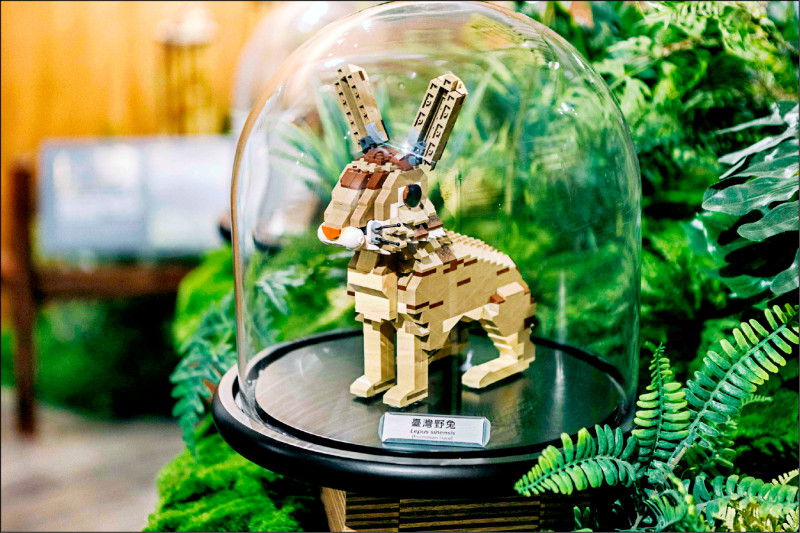 樂高等比打造台灣動物 東眼山遊客中心 山林美學新地標