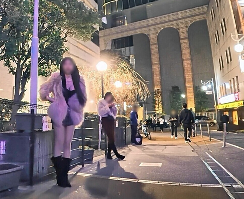 日本大久保公園 去年112名女性招攬嫖客被捕