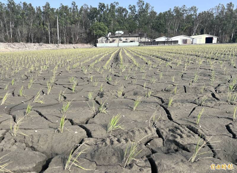 搶水?抽伏流水替鯉魚潭水庫續命 后里農民不滿排擠春耕用水
