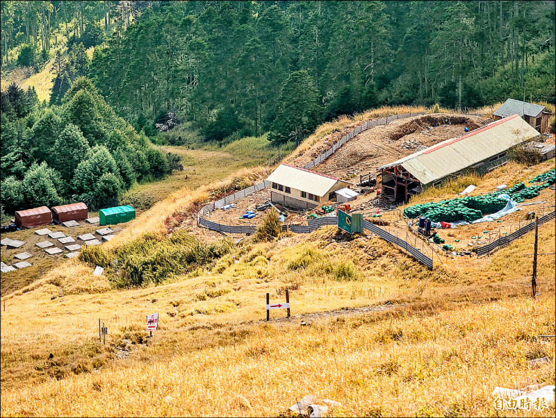 放任砍伐冷杉 監院糾正國家公園署、雪管處