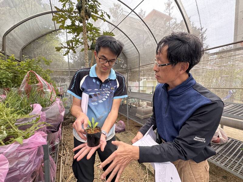 竹苗受威脅植物保種 今年加入13處場域、通霄新埔國小做基地