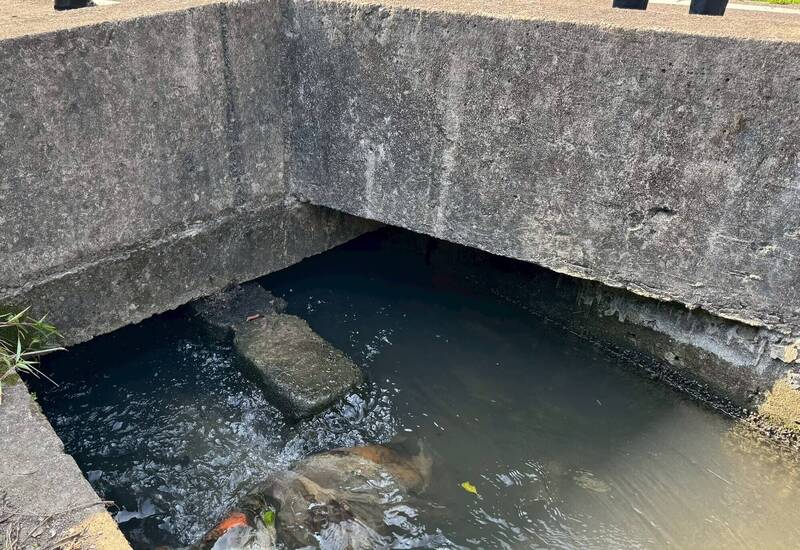 桃園新屋台31線路旁溝渠堵塞影響農作灌溉 中壢工務段允儘快清淤