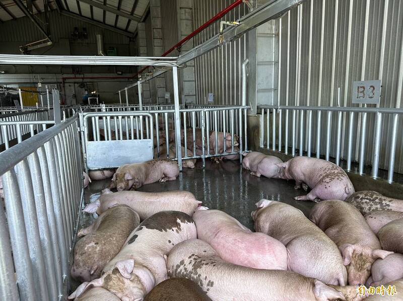 國內畜牧場呈減少趨勢 農業部:在養量未有明顯變化