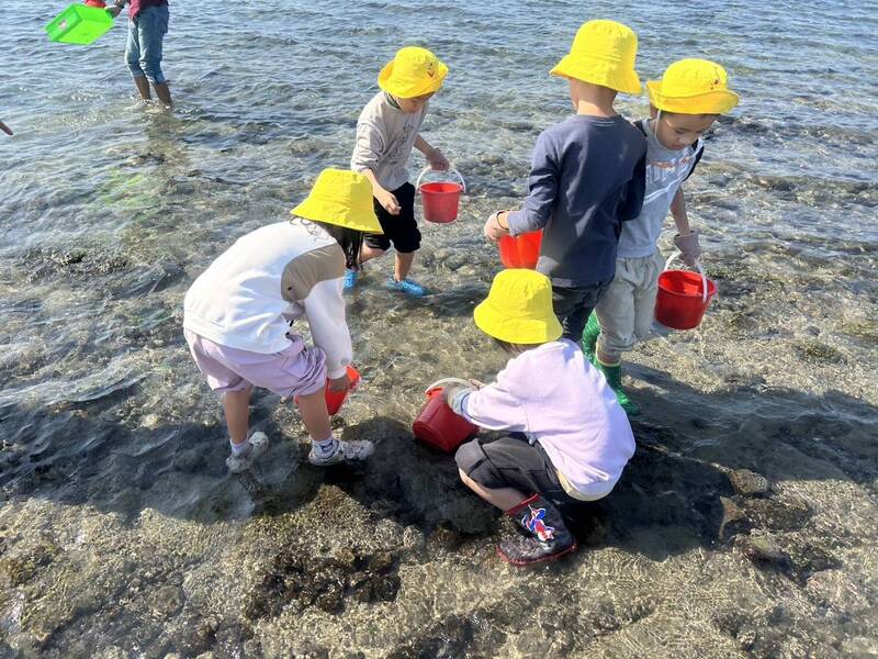 海膽回家了!澎湖幼童體驗放流海洋生物