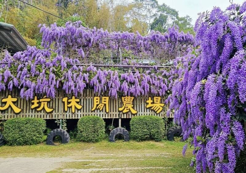 168休區再添觀光亮點 農場復育螢火蟲