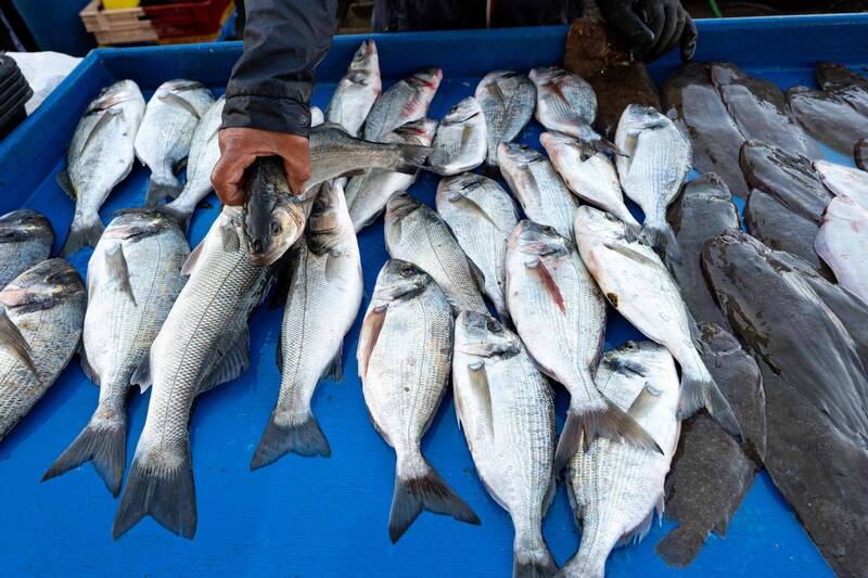 部分中國水產商涉及大量使用麻醉藥甚至工業用酒精，讓活魚在運送過程中保持休眠狀態，恐嚴重影響消費者健康。示意圖。（法新社）