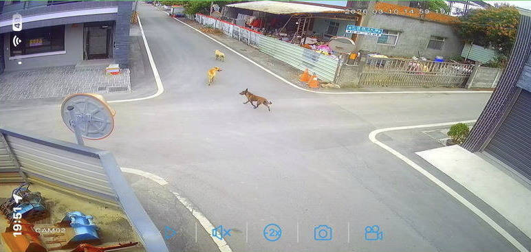 「狗不是我養的」仍遭送辦！彰化嬤遭咬200處 養雞場業者遭函送